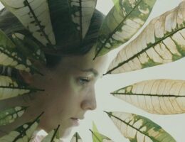 Sulla copertina de Il cuore della foresta di Amity Gaige c'è la foto del volto di una giovane donna, incorniciata da foglie