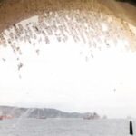 Il tenente di Andre Dubus