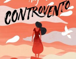 Sulla copertina di Controvento di Ángeles Caso c'è un'illustrazione sui toni dell'arancione, che ritrae una donna di spalle, con lunghi capelli neri, che guarda il sole tramontare nel mare