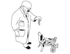 Sulla copertina di Abile, disabile, formidabile di Carlo Zanda c'è il disegno di un cane con la protesi a rotelle per le zampe posteriori che aspetta un premio da un dottore che gli sta di fronte