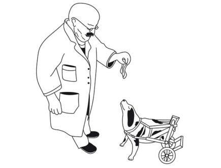 Sulla copertina di Abile, disabile, formidabile di Carlo Zanda c'è il disegno di un cane con la protesi a rotelle per le zampe posteriori che aspetta un premio da un dottore che gli sta di fronte