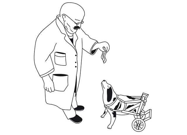 Sulla copertina di Abile, disabile, formidabile di Carlo Zanda c'è il disegno di un cane con la protesi a rotelle per le zampe posteriori che aspetta un premio da un dottore che gli sta di fronte