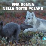 Una donna nella notte polare di Christiane Ritter