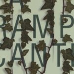 La rampicante di Davide Grittani