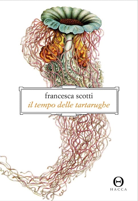 Il tempo delle tartarughe di Francesca Scotti