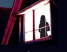 Sulla copertina di Posto sbagliato momento sbagliato di Gillian McAllister c'è una donna che si affaccia a una finestra