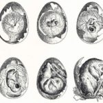 Gli occhi vuoti dei santi di Giorgio Ghiotti