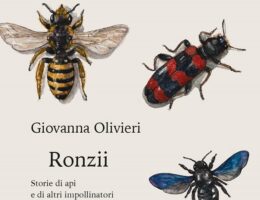 Sulla copertina di Ronzii ci sono delle illustrazioni che rappresentanto api e altri insetti impollinatori