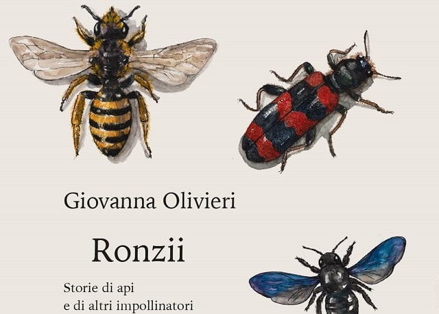 Sulla copertina di Ronzii ci sono delle illustrazioni che rappresentanto api e altri insetti impollinatori