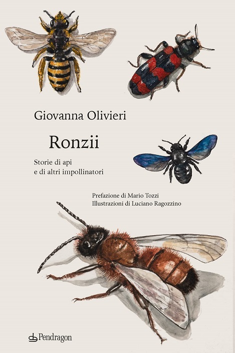 Sulla copertina di Ronzii ci sono delle illustrazioni che rappresentanto api e altri insetti impollinatori