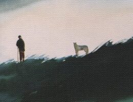 Sulla copertina di Essere lupo di Kerstin Ekman è raffigurata l'illustrazione di un uomo sopra una montagna che osserva a distanza ravvicinata un lupo