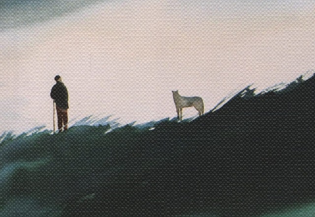 Sulla copertina di Essere lupo di Kerstin Ekman è raffigurata l'illustrazione di un uomo sopra una montagna che osserva a distanza ravvicinata un lupo