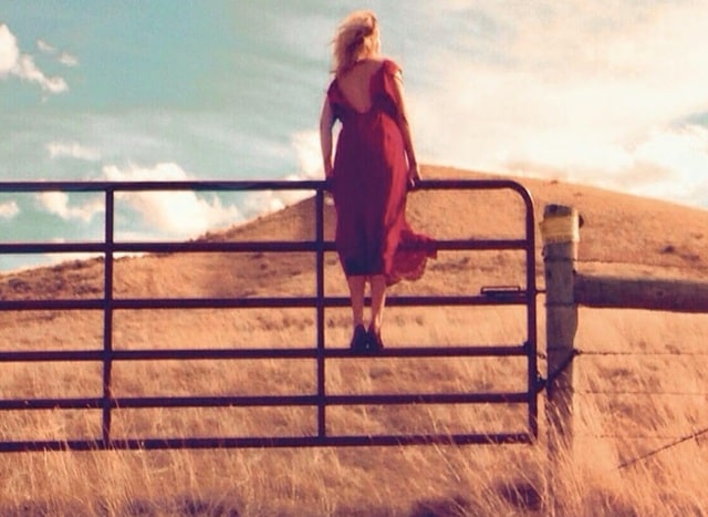 Sulla copertina dfi Le vite di Edie Pritchard di Larry Watson c'è una foto che ritrae una donna bionda che indossa un vestito rosso, che è arrampicata su una staccionata, con lo sguardo rivolto verso una prateria bruciata dal sole