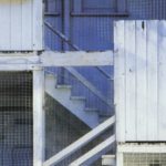 Gli inconvenienti della vita di Peter Cameron