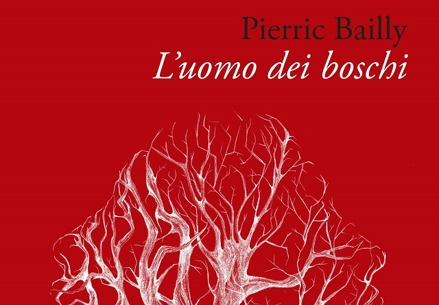 L'uomo dei boschi di Pierric Bailly