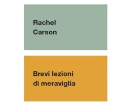 Brevi lezioni di meraviglia di Rachel Carson