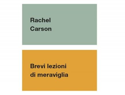 Brevi lezioni di meraviglia di Rachel Carson