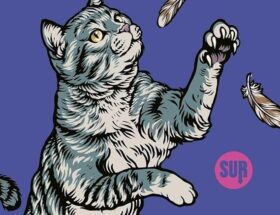 Sulla copertina di Vengo io da te di Rebecca Kauffman c'è disegnato un gattone grigio che si alza sulle zampe posteriori e cerca di prendere a zampate delle piume di uccello