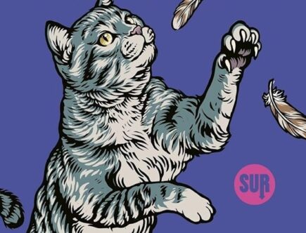 Sulla copertina di Vengo io da te di Rebecca Kauffman c'è disegnato un gattone grigio che si alza sulle zampe posteriori e cerca di prendere a zampate delle piume di uccello