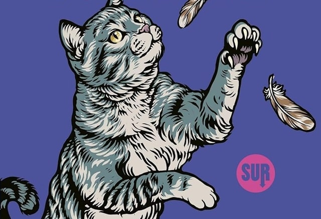 Sulla copertina di Vengo io da te di Rebecca Kauffman c'è disegnato un gattone grigio che si alza sulle zampe posteriori e cerca di prendere a zampate delle piume di uccello