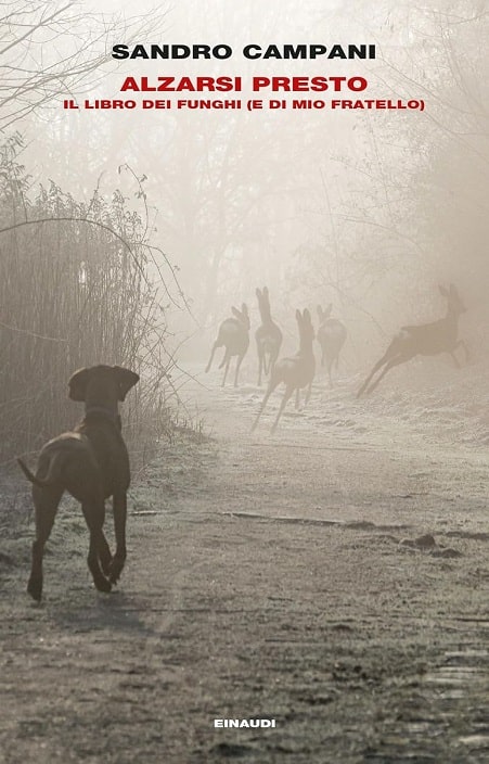 Sulla copertina di Alzarsi presto di Sandro Campani c'è un cane da caccia su un sentiero, che osserva un gruppo di cerbiatti fuggire nella nebbia