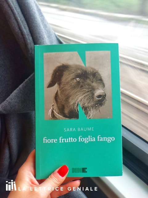 fiore frutto foglia fango di Sara Baume