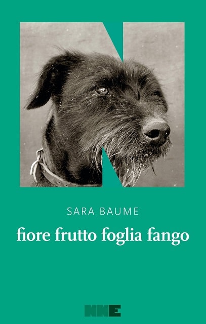 fiore frutto foglia fango di Sara Baume