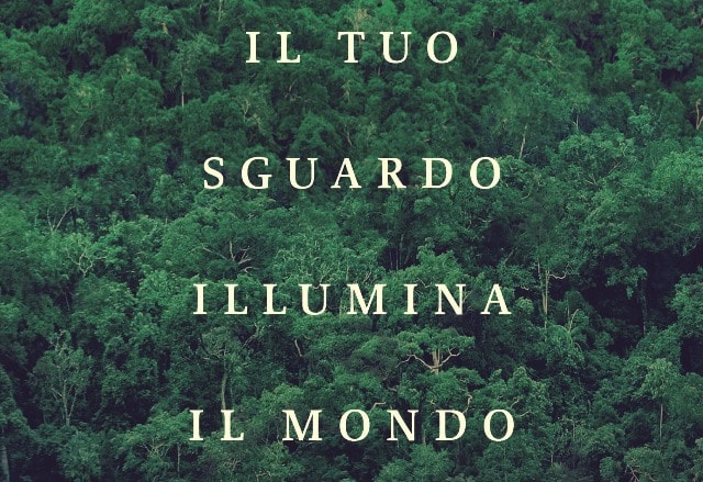 Il tuo sguardo illumina il mondo di Susanna Tamaro