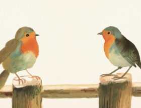 Sulla copertina di Tutte le mattine di Sybil di Virginia Evans ci sono disegnati due pettirossi appoggiati su una staccionata, che si guardano l'un l'altro