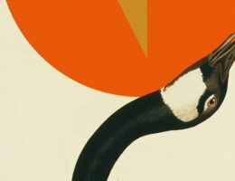 Sulla copertina de Il libro dell'oca di Yiyun Li c'è un disegno che riprende un'oca nera che allunga il collo verso il retro e un'altra oca che la osserva