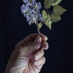 Se vado via di Yiyun Li