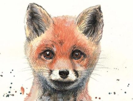 Sulla copertina di Sguardi nella natura di Daniele Zovi e Giuliano Dall'Oglio fa capolino un bellissimo ritratto a matita di una giovane volpe che guarda dritto verso chi legge